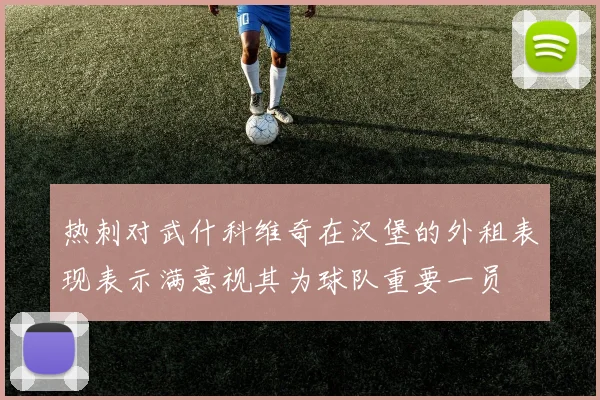 热刺对武什科维奇在汉堡的外租表现表示满意视其为球队重要一员